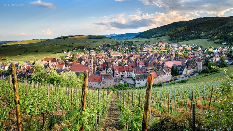 Medieval walled town surrounded by vineyards and wooded hills.