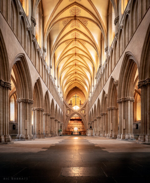 Interior of Wells Cathedral with vaulted ceiling.