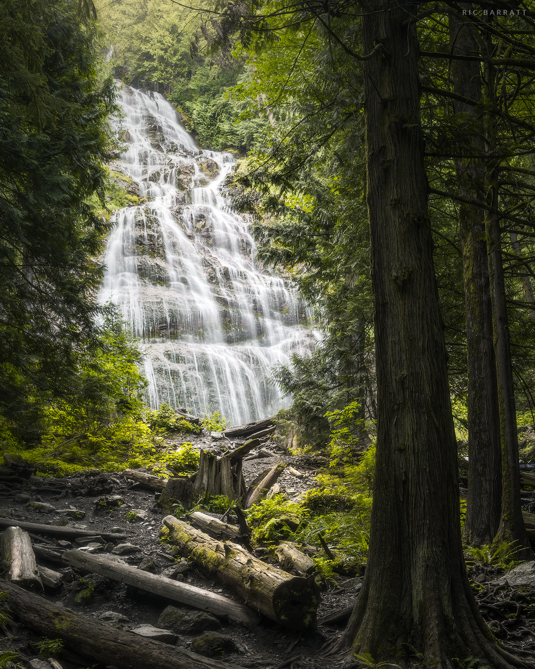 Steams of water fall down tall, rocky wall in lush, green woodland.