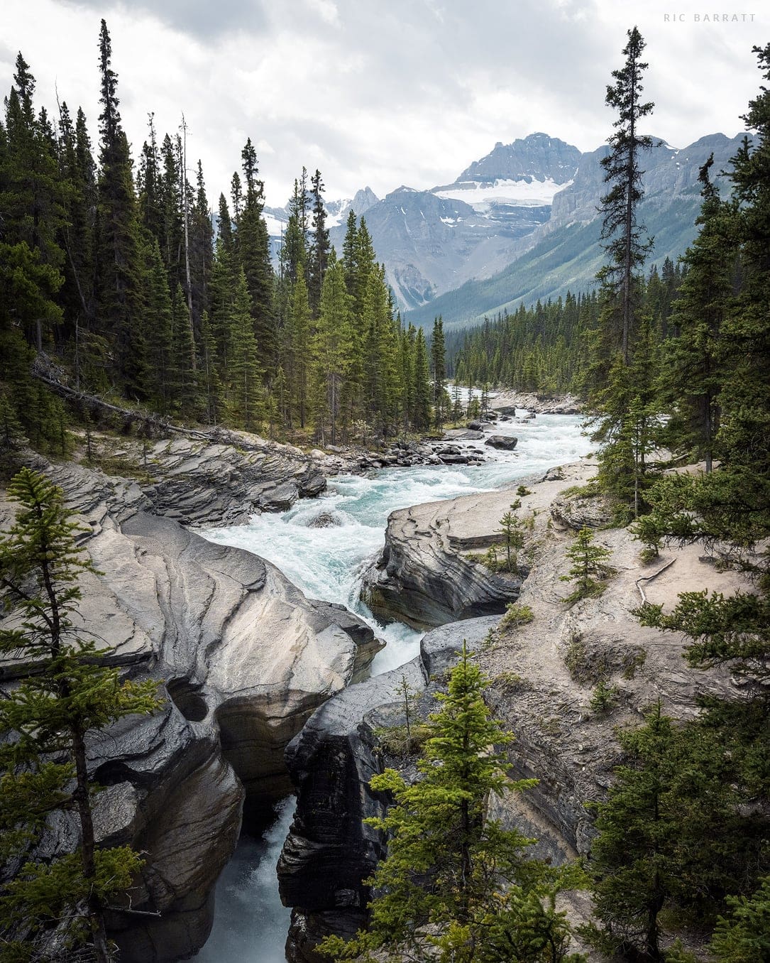 Fast flowing river descends from mountains and through woodland before crashing through a curvy and rocky canyon.