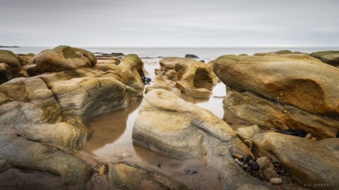 Smooth beach rocks, carved over time by the tide of the sea.