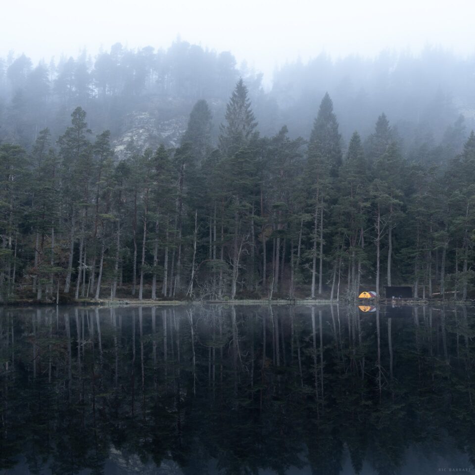 Wild camp scene with a tent on a lake surrounded by tall trees and misty mountains in the background.
