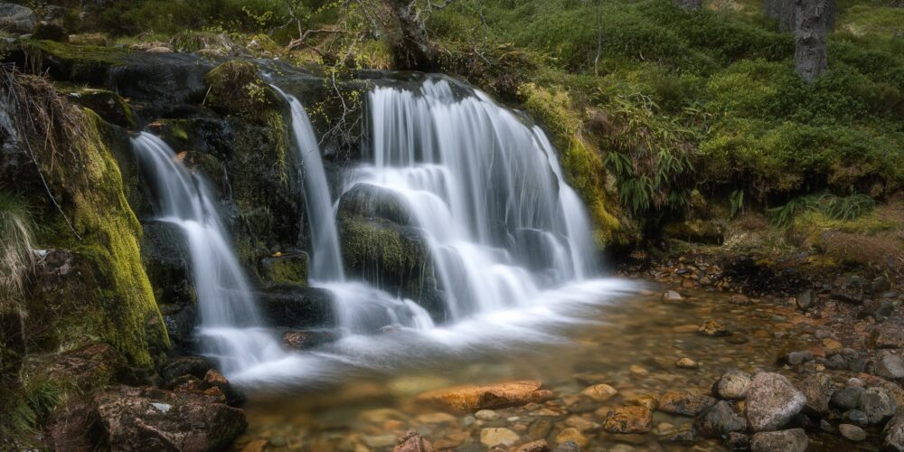 Cascade waterfall in woodland setting.