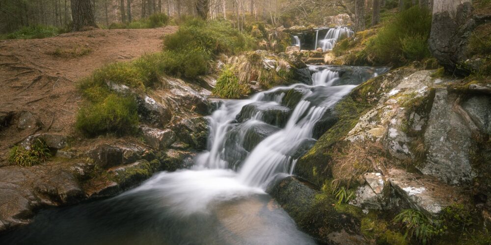 Serene woodland stream with cascading waterfalls and lush greenery.