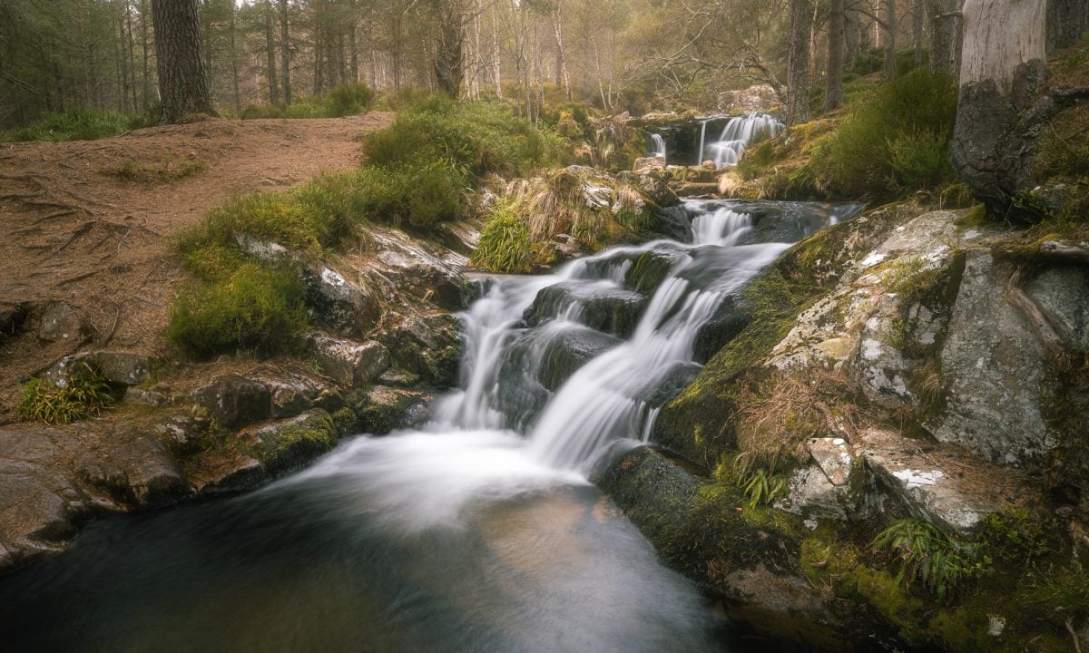 A waterfall in the woods with rocks and trees.
