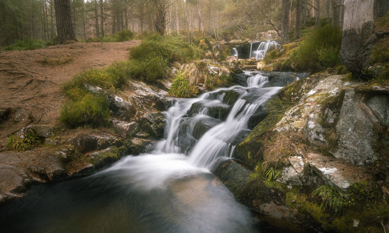 A waterfall in the woods with rocks and trees.