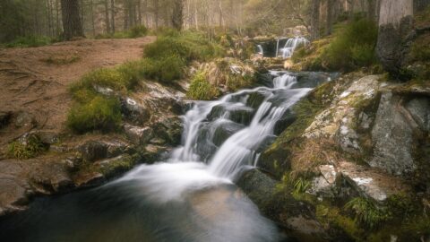 Serene woodland stream with cascading waterfalls and lush greenery.