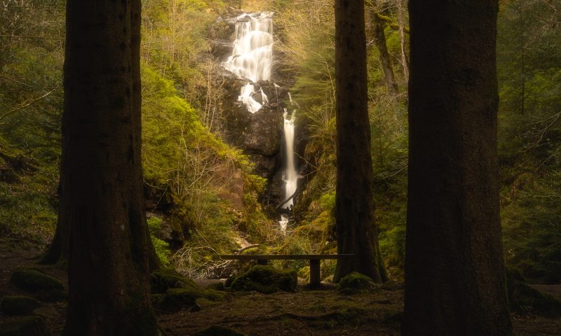 A waterfall in the woods with trees and a bench.