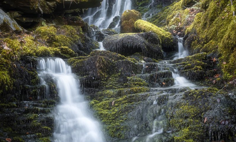 A waterfall in the woods with mossy rocks.