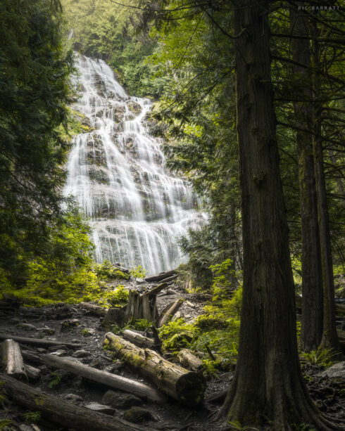 Bridal Veil