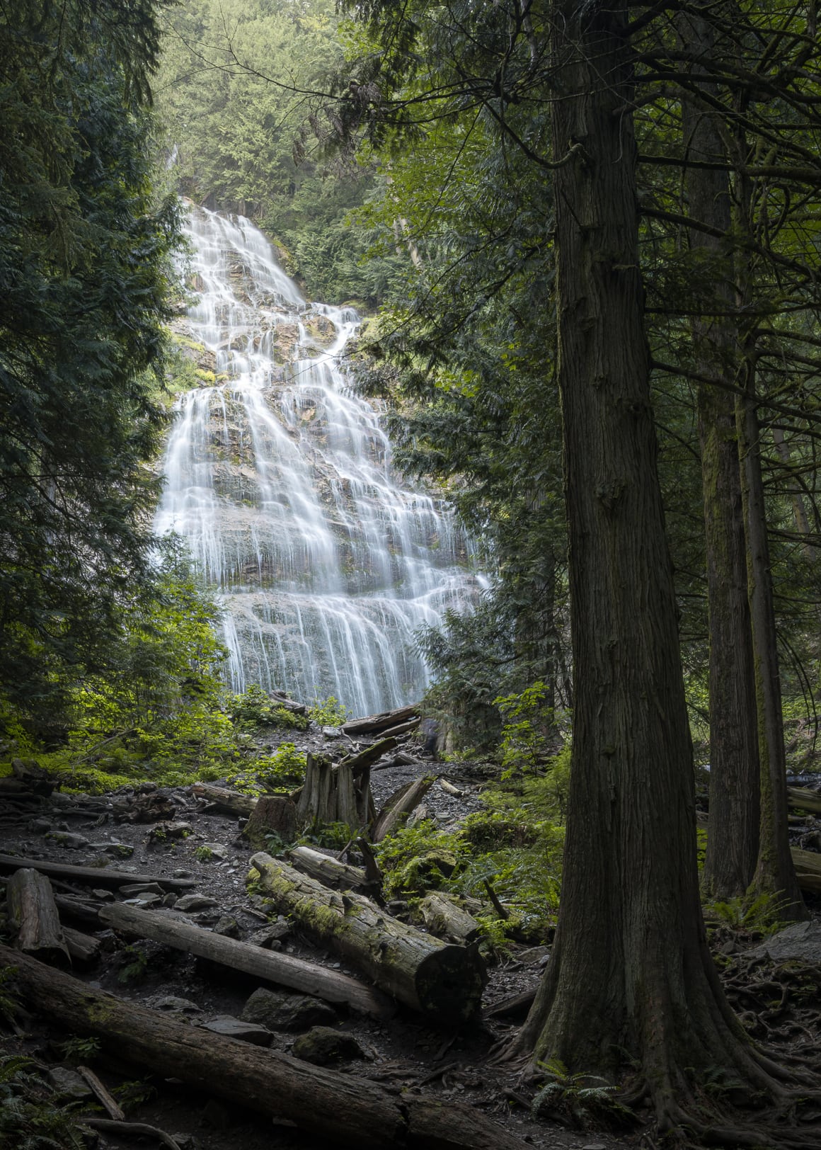 Bridal Veil