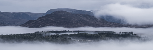 Panoramic mountain landscape with cloud inversion. Evergreen trees and mountain peaks appear through the clouds.