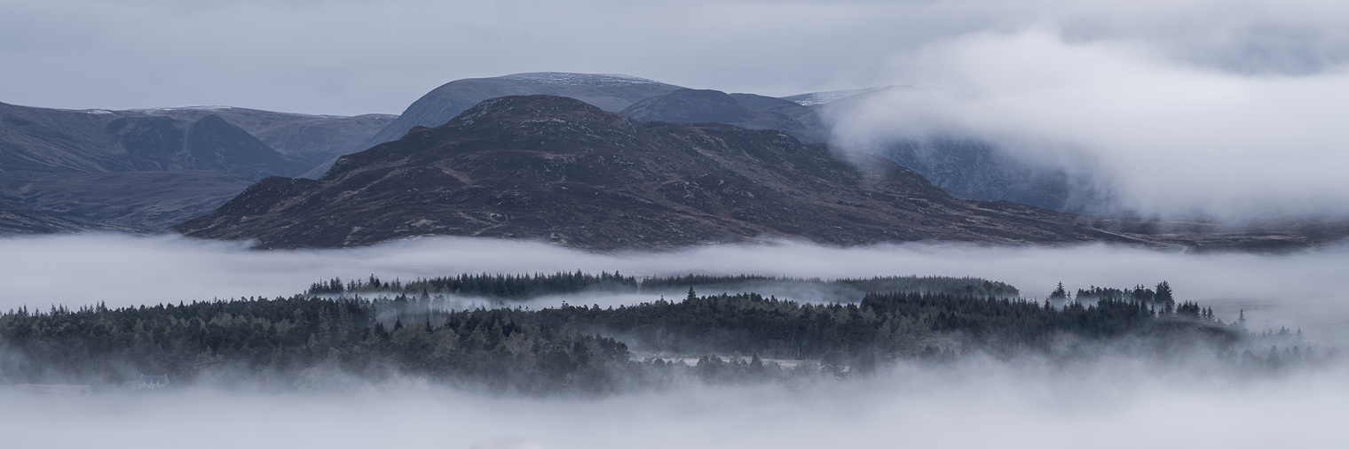 Panoramic mountain landscape with cloud inversion. Evergreen trees and mountain peaks appear through the clouds.