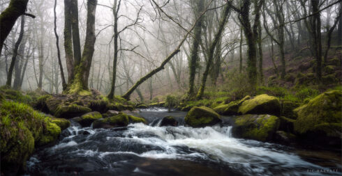 Golitha Falls