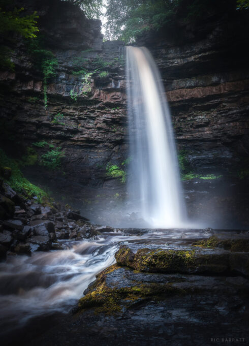 Hardraw Force