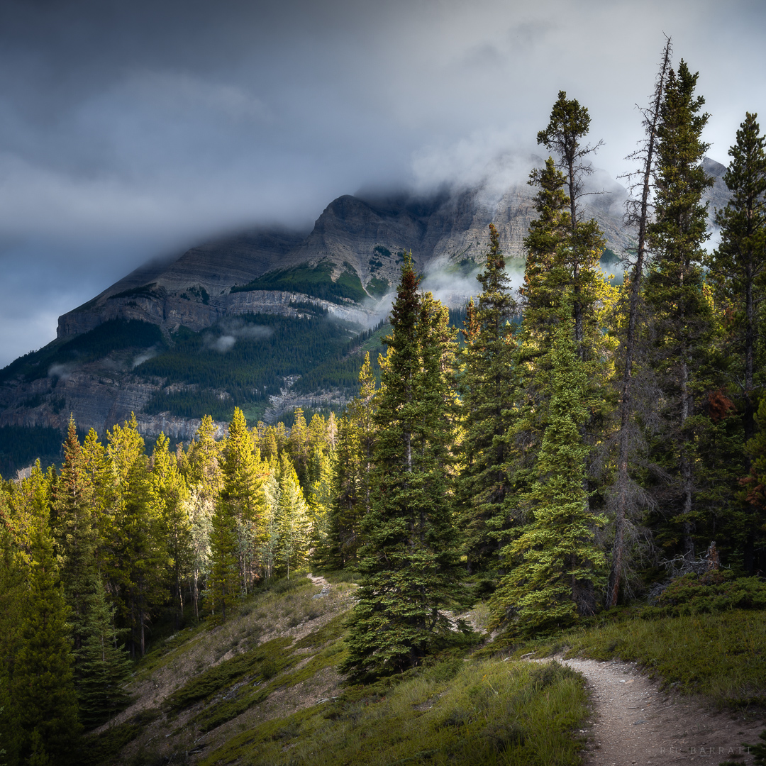 Mountain Path
