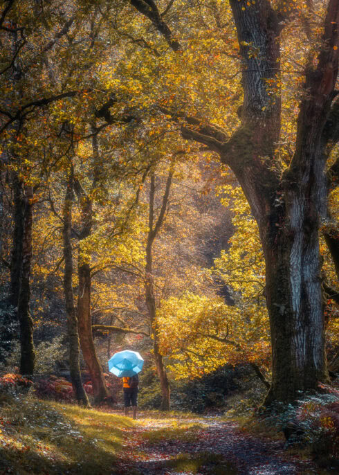 Phantom Rain