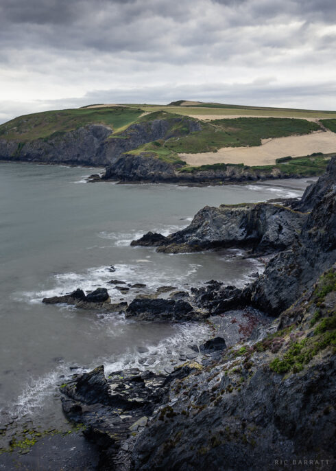 Pwll Cŵn
