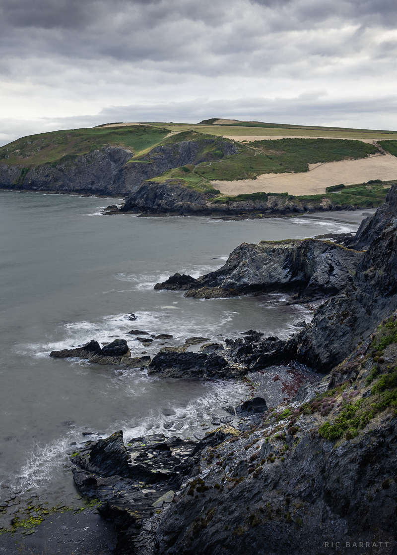 Pwll Cŵn