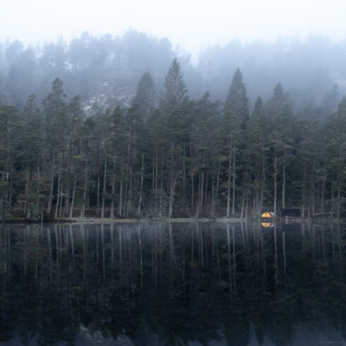 Wild Camp